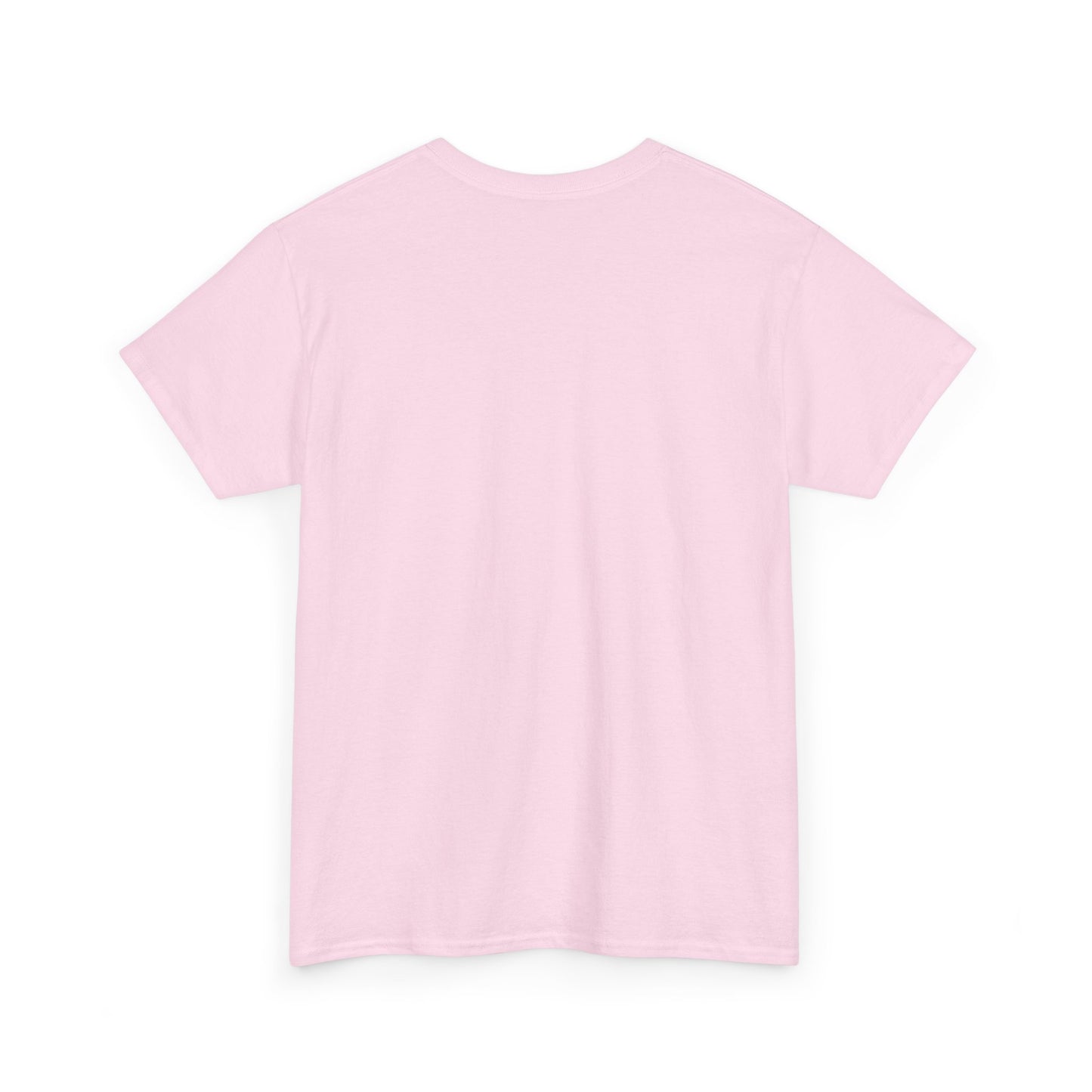 BRK IYKYK Unisex Softstyle T-Shirt